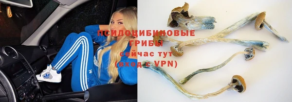 СК Алексеевка