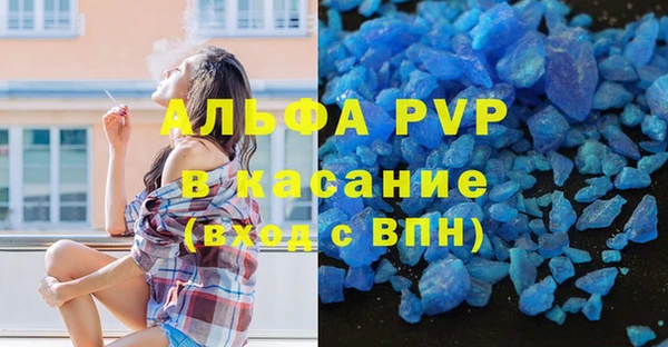 ECSTASY Алзамай