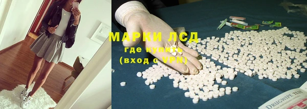 ECSTASY Алзамай